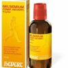 Gelsemium Comp. Hevert Tropfen 100 ml Tropfen