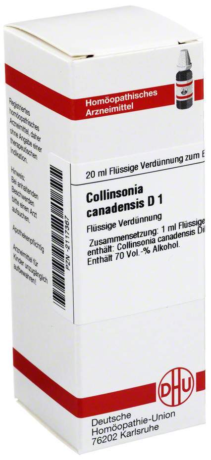 Collinsonia Canadensis D 1 Dilution