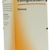 Cactus Compositum S Liquidum 100 ml Liqiudum