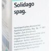 Phönix Solidago Spag. 100 ml Tropfen