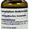 Caulophyllum D 6 Dilution 20 ml