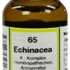Echinacea K Komplex Nr. 65 20 ml Dilution