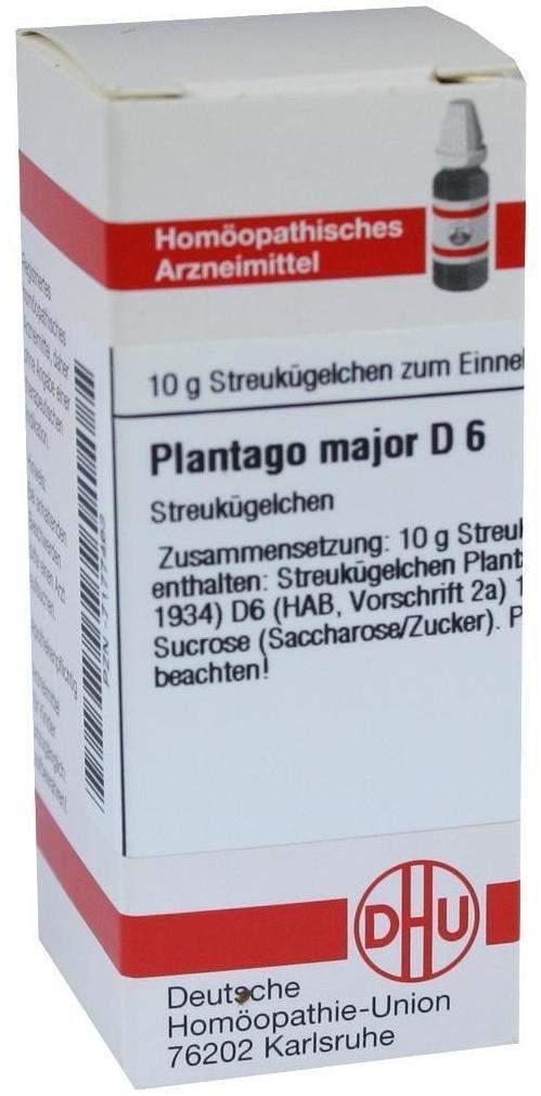 Plantago Major D 6 Globuli