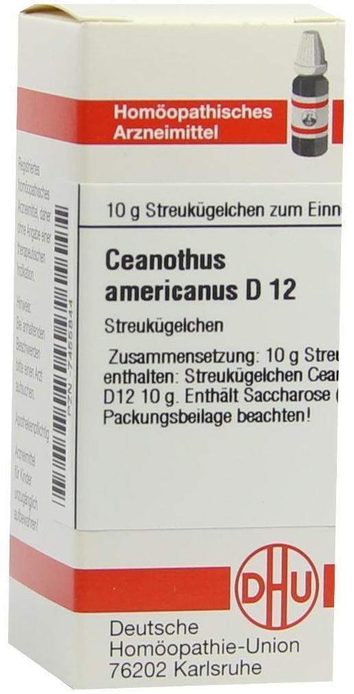 Dhu Ceanothus Americanus D12 Globuli