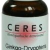 Ceres Ginkgo Dryopteris Comp. Tropfen