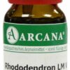 Rhododendron Lm 6 Dilution 10 ml