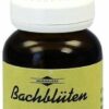 Bachblüten Murnauer Holly 20 ml Tropfen