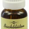 Bachblüten Murnauer White Chestnut Tropfen 20 ml Tropfen