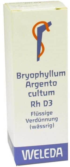 Weleda Bryophyllum Argento Cultum Rh D3 50 ml Dilution