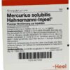 Mercurius Solubilis Hahnemanni-Injeel