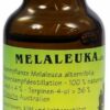 Melaleuka Öl Biolog. Anbau 20 ml Öl