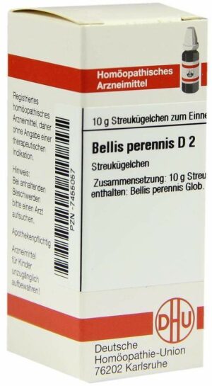 Bellis Perennis D 2 Globuli