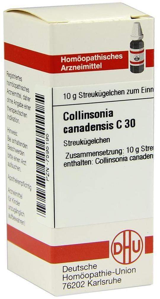 Collinsonia Canadensis C 30 Globuli