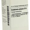 Galphimia Glauca D6 20 ml Dilution