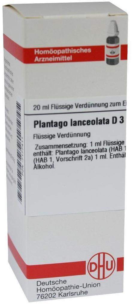 Plantago Lanceolata D 3 Dilution