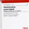 Ventriculus Suis Injeele