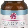 Carbo Vegetabilis C 30 10 G Globuli