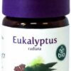 Eukalyptus Öl Radiata Bio 5 ml