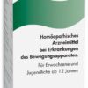 Rheuma Pasc Liquidum Sl Mischung 100 ml