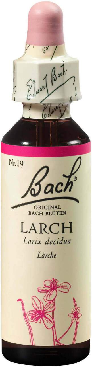 Bachblüten Larch 20 ml Tropfen