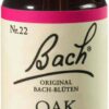 Bachblüten Oak 20 ml Tropfen