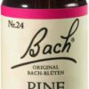 Bachblüten Pine 20 ml Tropfen
