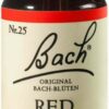 Bachblüten Red Chestnut 20 ml Tropfen