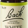 Bachblüten White Chestnut 20 ml Tropfen