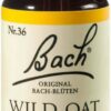 Bachblüten Wild Oat 20 ml Tropfen