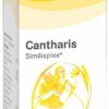 Cantharis Similiaplex Tropfen 50 ml Tropfen