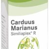Carduus Marianus Similiaplex R Tropfen 100 ml Tropfen