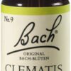 Bachblüten Clematis 20 ml Tropfen