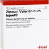 Zincum Valerianicum Injeel 10  Ampullen
