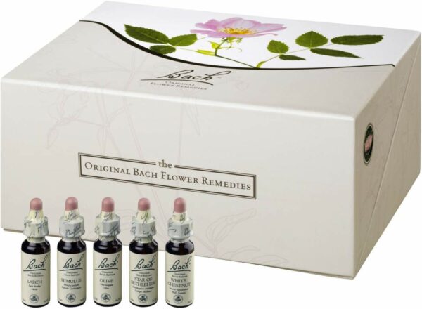 Original Bachblüten Sonderedition 40 x 10 ml in Pappbox