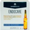 Endocare Ampullen Sca 40