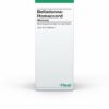 Belladonna Homaccord 30 ml Tropfen