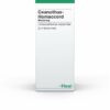 Ceanothus Homaccord Liqiudum 30 ml Tropfen