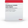 Cerebrum Totalis Suis-Injeele 1