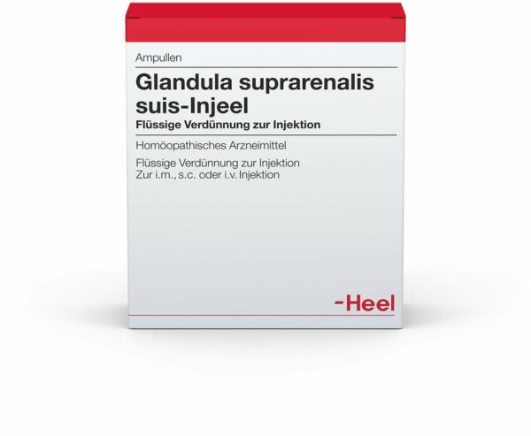 Glandula Suprarenalis Suis Injeel 100 Ampullen