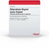Glandula Thymi Suis Injeel 100 Ampullen