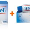 Traumeel S 250 Tabletten + Traumeel S Creme 100 g