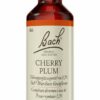 Bachblüten Cherry Plum 20 ml Tropfen