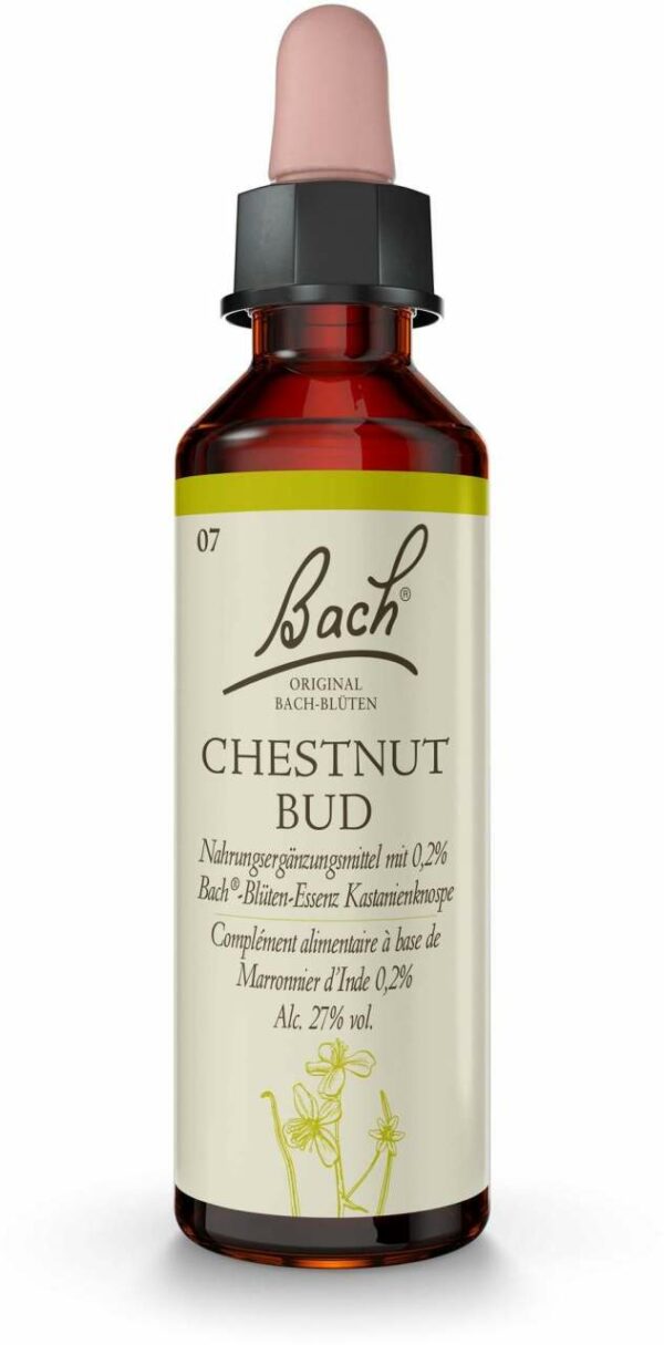 Bachblüten Chestnut Bud 20 ml Tropfen