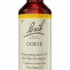 Bachblüten Gorse 20 ml Tropfen